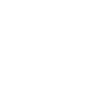 Desverso Logo